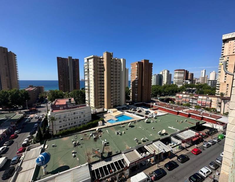 Sale - Apartment - Avenida del Mediterraneo - Benidorm