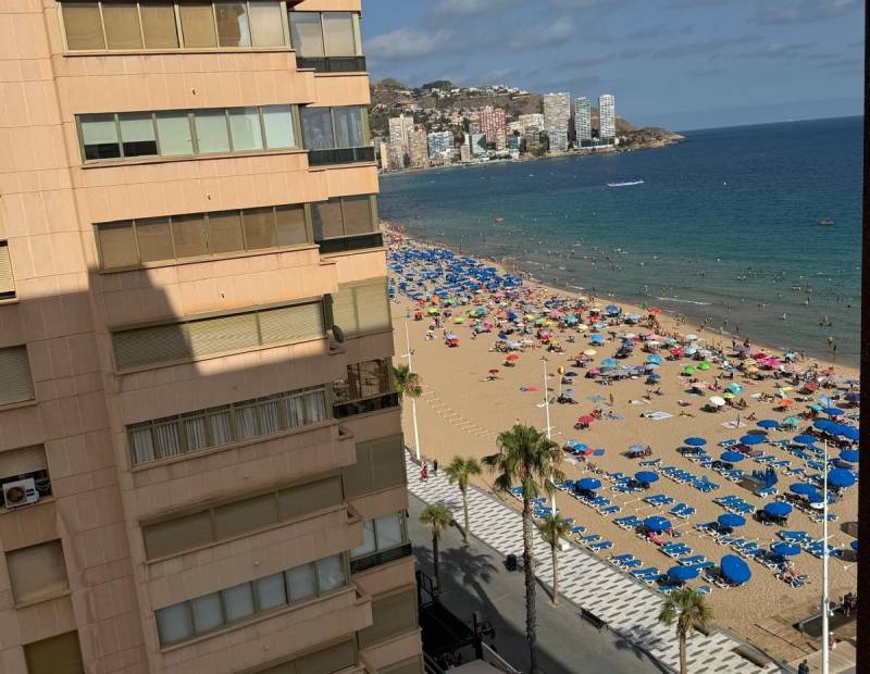Alquiler - Piso - 1ª Linea - Benidorm