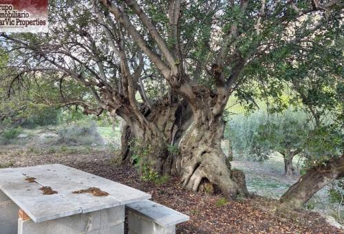 Parcela - Sale - Beniarda - Beniarda