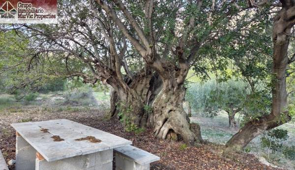 Parcela - Venta - Beniarda - Beniarda