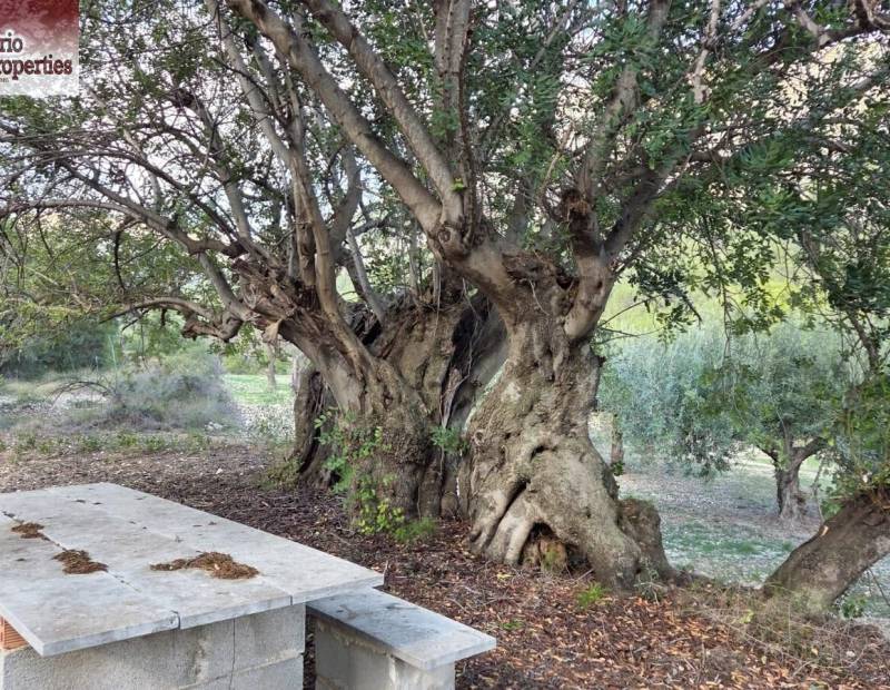 Sale - Plot of land - Beniarda