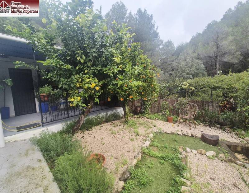 Sale - Rustic property - Campo - Bolulla