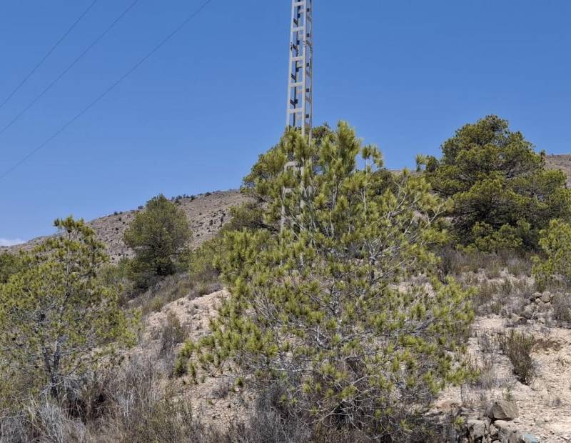 Продажа - участок без лицензии - Villajoyosa