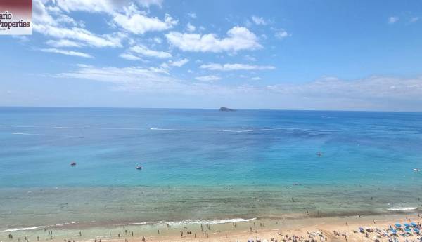 Studio - Sale - Avenida del Mediterraneo - Benidorm