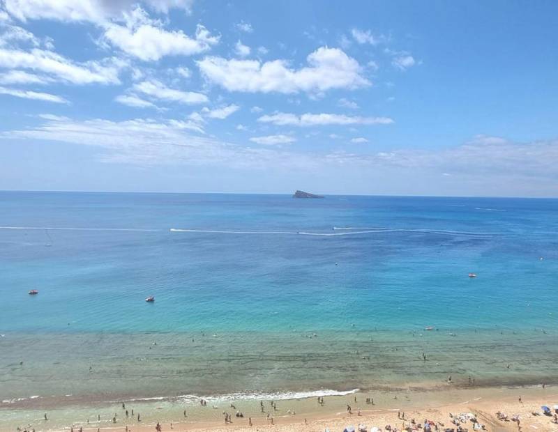 Venta - Estudio - Avenida del Mediterraneo - Benidorm