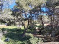 https://fotos15.apinmo.com/1156/24174349/2-50.jpg