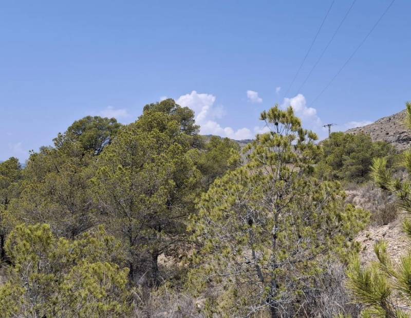 Продажа - участок без лицензии - Villajoyosa