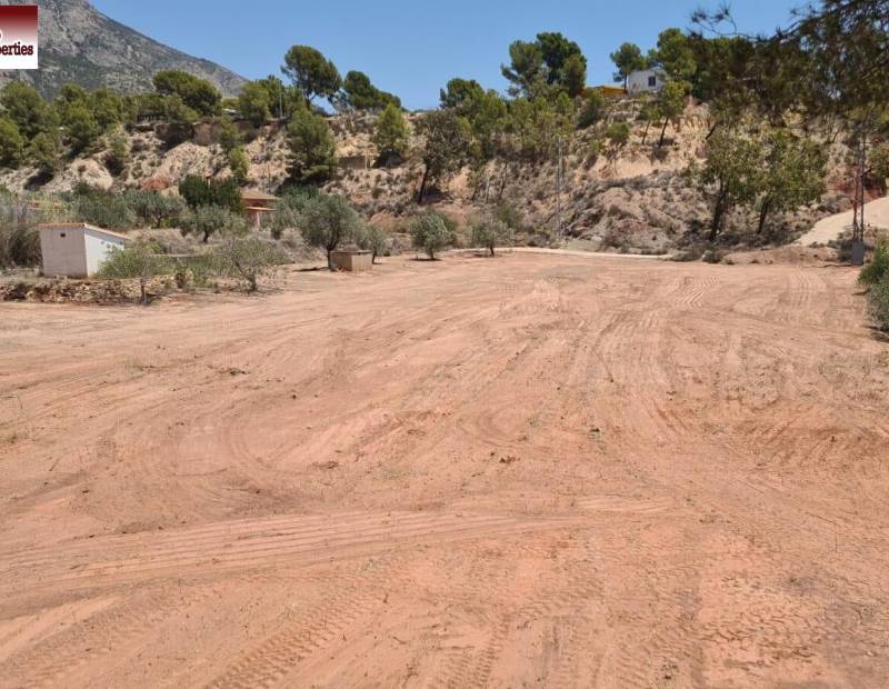 Vente - Terrain rural - Partida adzubia - Finestrat