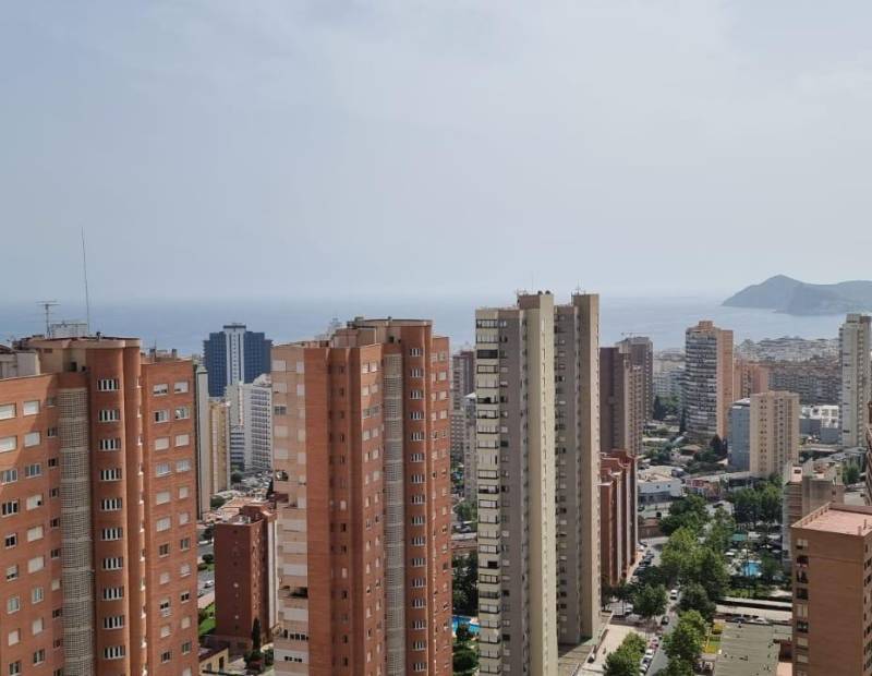 Sale - Apartment - Nuevos Juzgados - Benidorm