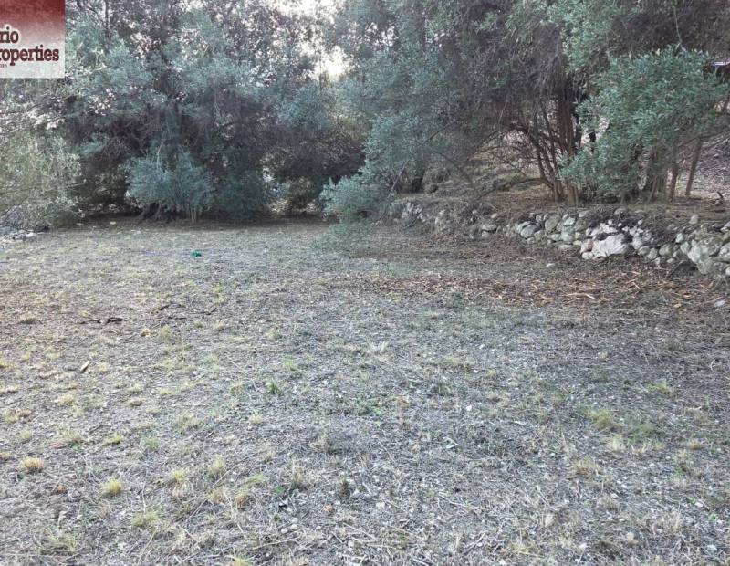 Sale - Plot of land - Beniarda