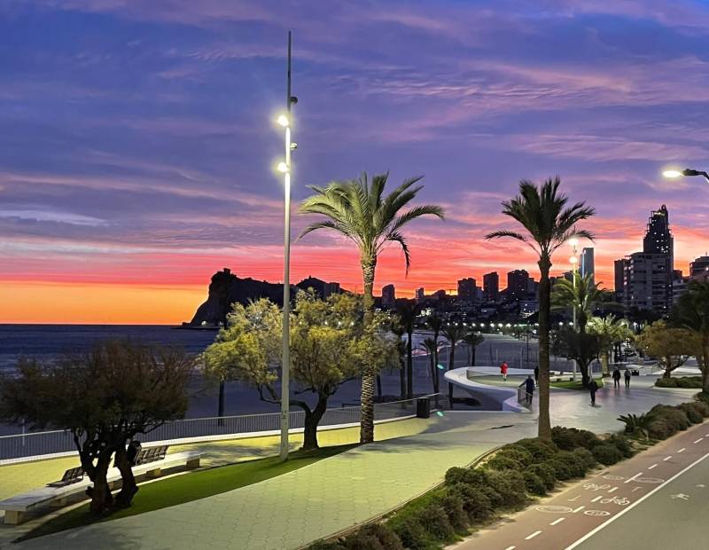 Venta - Apartamento - 1ª Linea - Benidorm