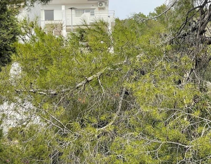 Продажа - Дом с земельным участком - Alfas del pi - l'Alfas del Pi