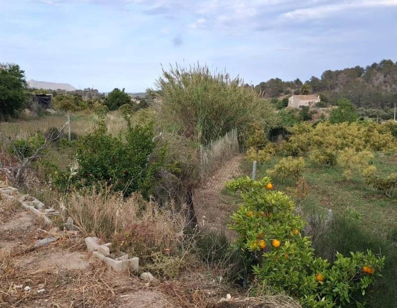 Продажа - участок без лицензии - La nucia - La Nucía