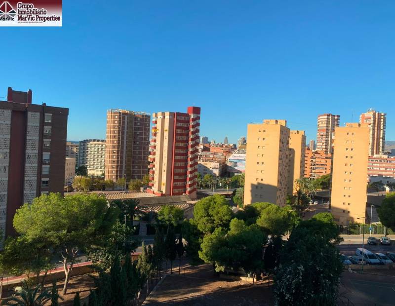 Vente - Studio - Juzgados - Benidorm