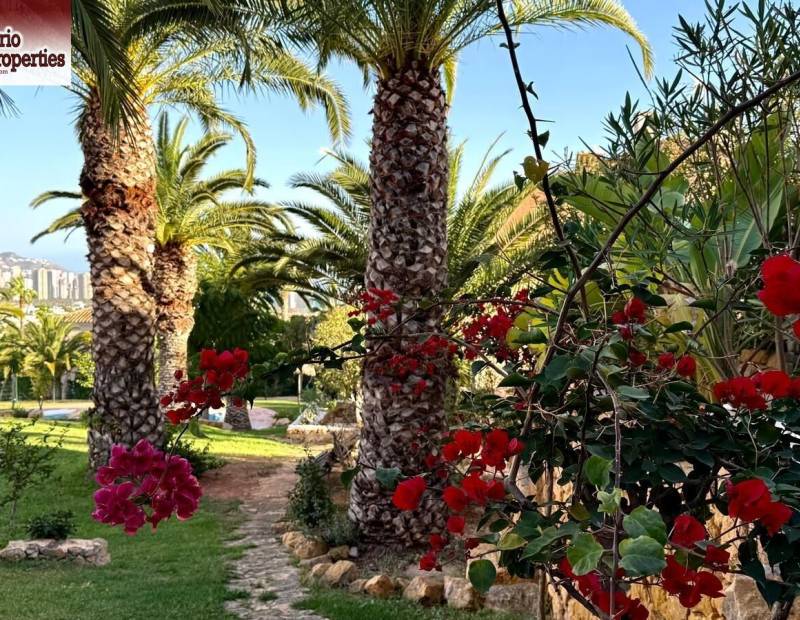 Vente - Maison mitoyenne - Camporrosso village - Finestrat