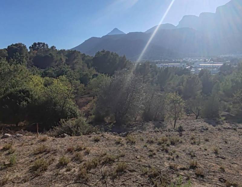 Sale - Plot of land - Centro - La Nucía