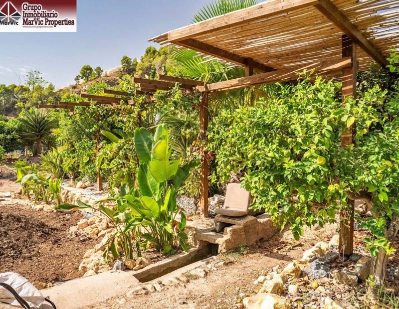 Vente - Appartement - Comunidad valenciana - Callosa d'en Sarrià