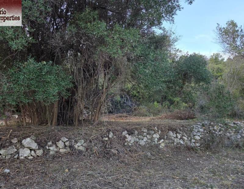 Sale - Plot of land - Beniarda