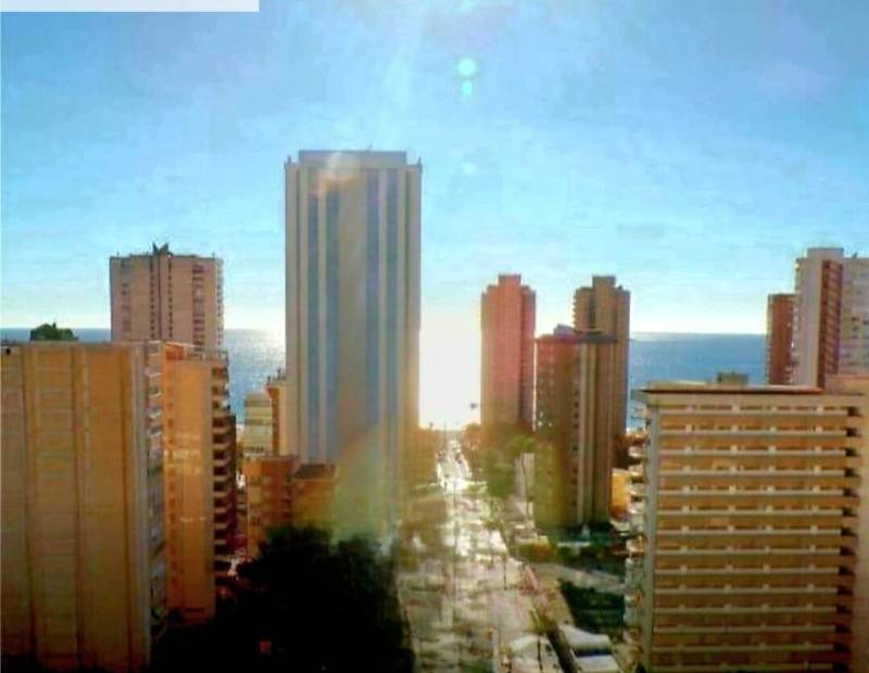 De location - Appartement de ville - Levante - Benidorm