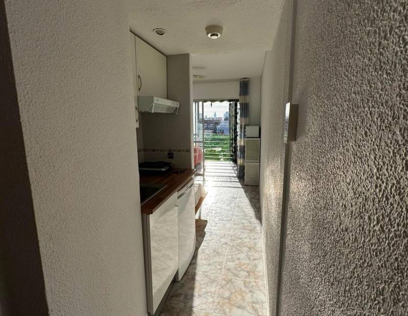 Vente - Studio - Juzgados - Benidorm