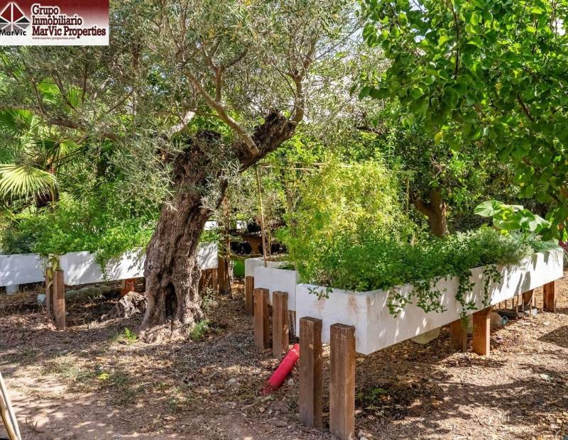 Vente - Appartement - Comunidad valenciana - Callosa d'en Sarrià