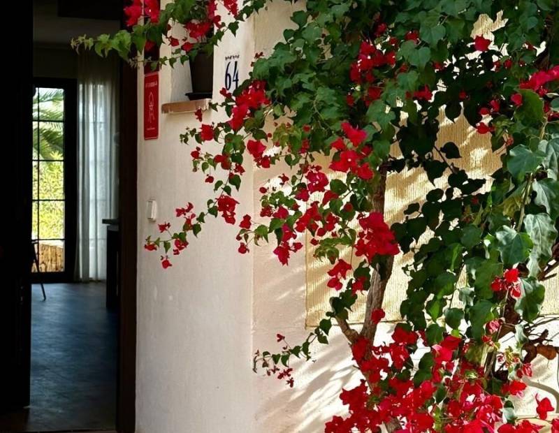 Vente - Maison mitoyenne - Camporrosso village - Finestrat