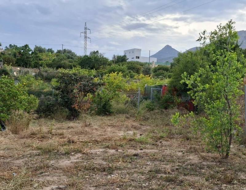 Продажа - участок без лицензии - La nucia - La Nucía