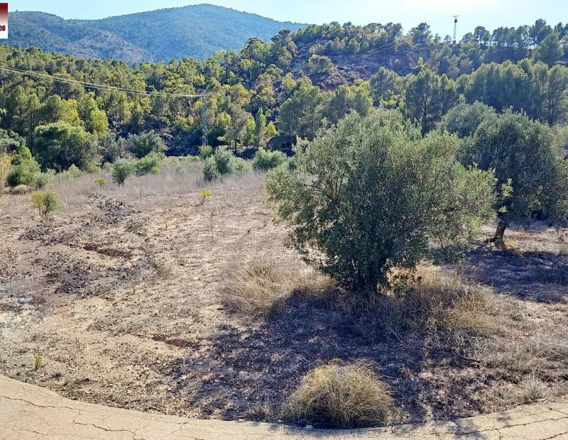 Sale - Rural Land - Partida adzubia - Finestrat