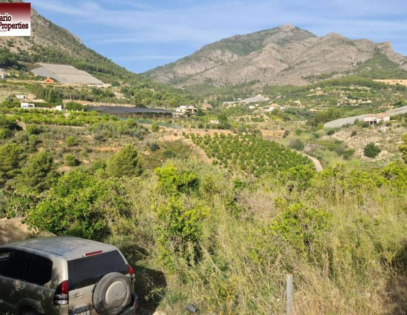 Vente - Propriété rurale - Callosa d En Sarria - Callosa d'en Sarrià