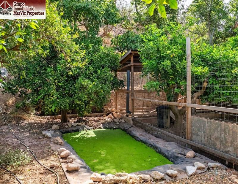 Vente - Appartement - Comunidad valenciana - Callosa d'en Sarrià