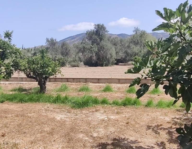 Продажа - Дом с земельным участком - Rincon de Loix - Benidorm