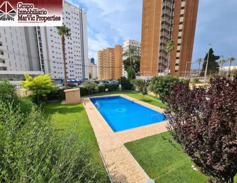 Продажа - СТУДИИ - Levante - Benidorm