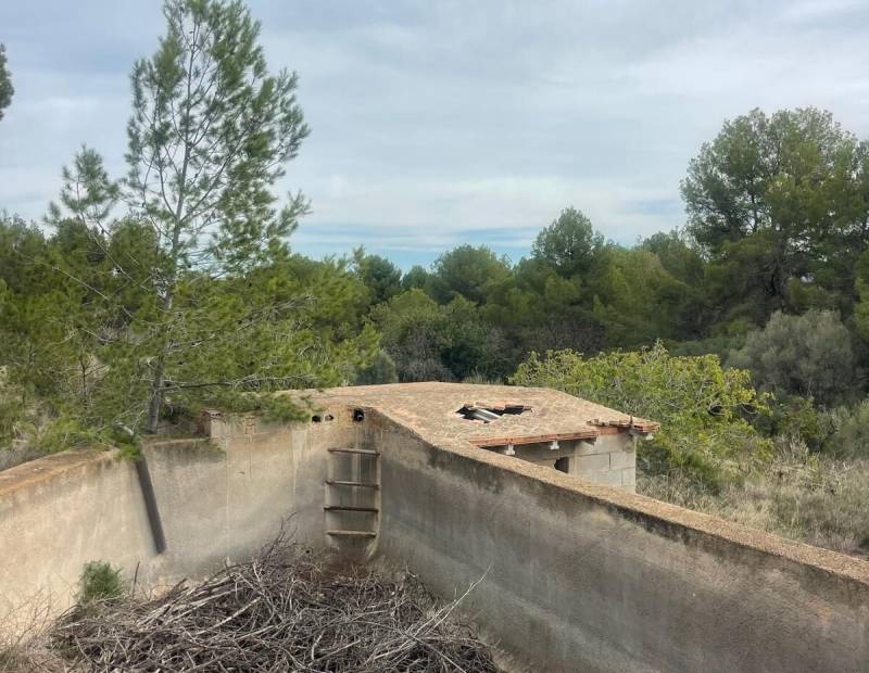 Продажа - Дом с земельным участком - Alfas del pi - l'Alfas del Pi