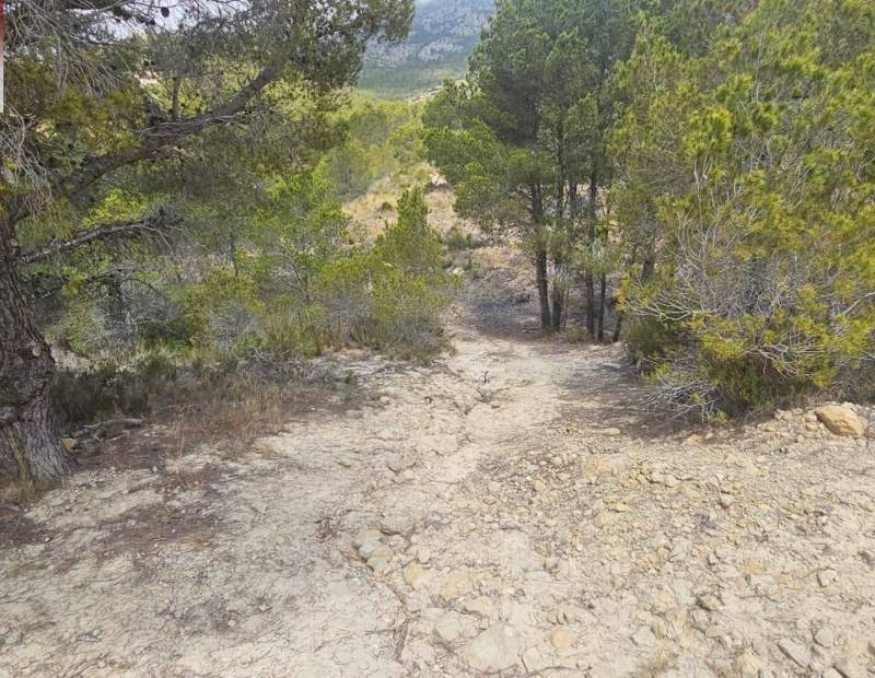 Продажа - участок без лицензии - Finestrat Pueblo - Finestrat