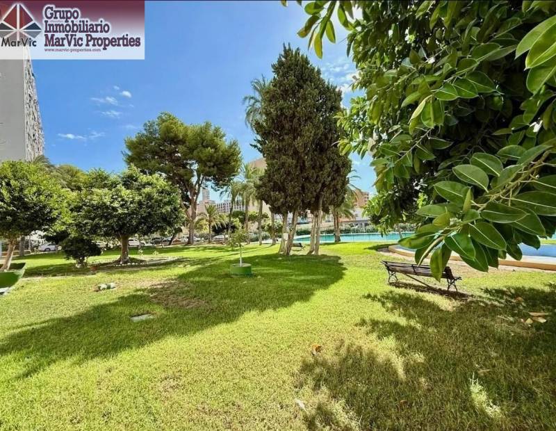 Продажа - квартира - Plaza de Toros - Benidorm