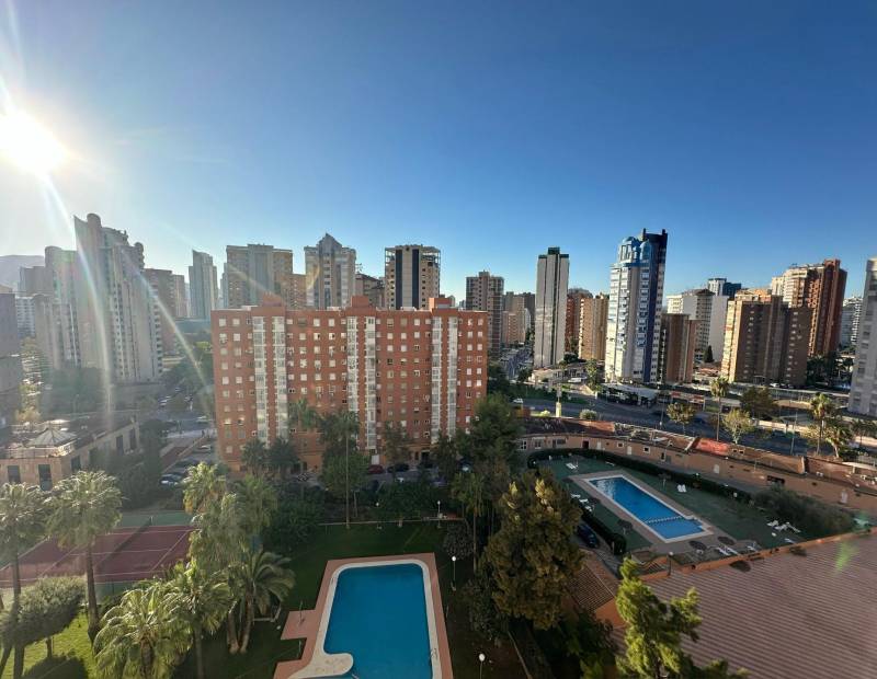 Venta - Apartamento - Avenida Alfonso Puchades - Benidorm