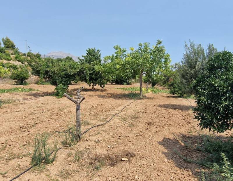 Продажа - сельский дом - El Tossal-Bello Horizonte - La Nucía