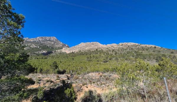 Parcelle - Vente - Finestrat Pueblo - Finestrat